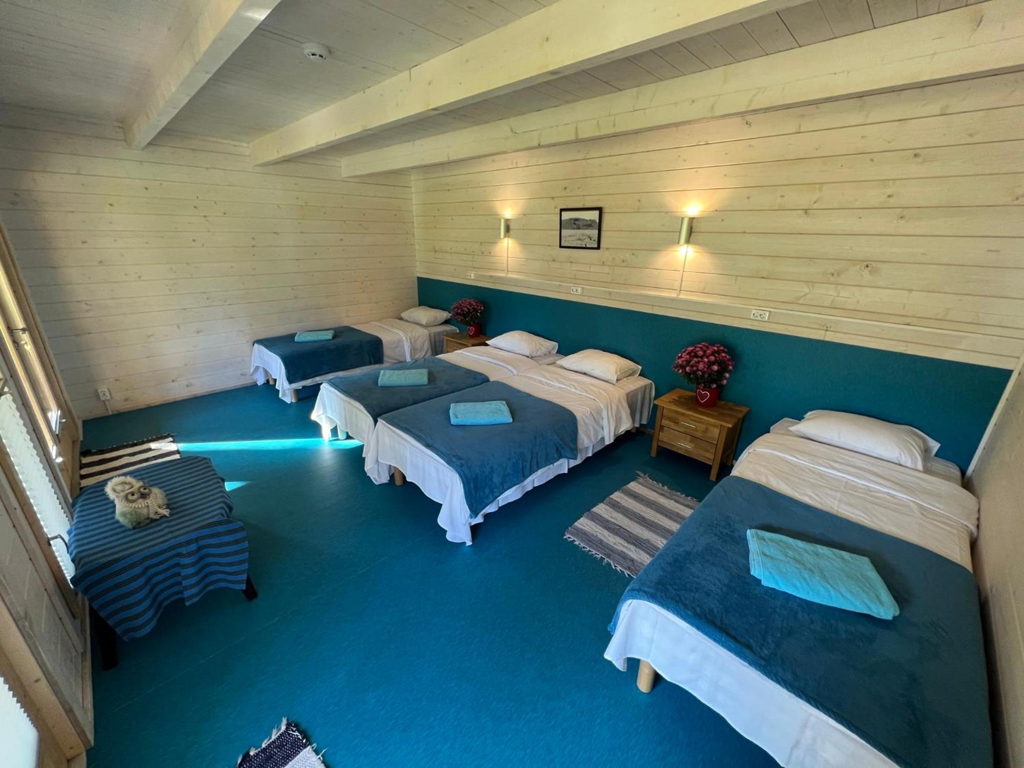 Toolse Puhkekuela Hotel ภายนอก รูปภาพ
